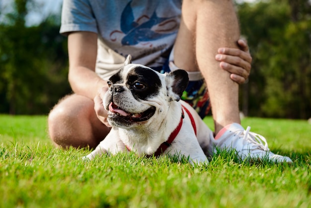 Handsome Man Sitting with French Bulldog on Grass in Park – Free Download