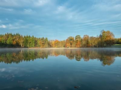 Serene Clear Lake Reflecting Trees and Sky on a Cool Spring Day – Free Download