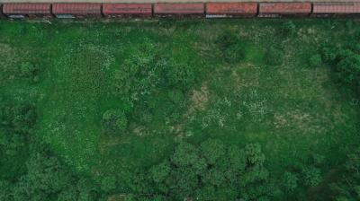 Aerial View of Meadow: Stunning Free Stock Photo for Download