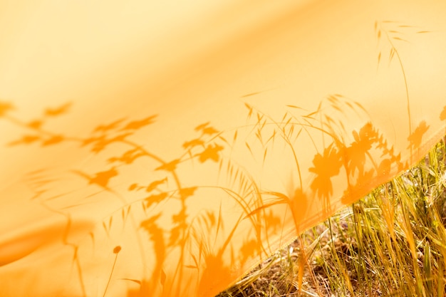 Yellow Cloth in the Fields – Free to Download Stock Photo