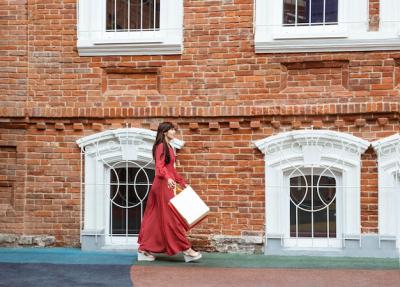 Woman Walking with Shopping Bags – Free Download