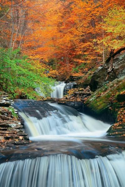 Colorful Foliage at Autumn Waterfalls in the Park – Free Download