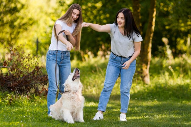 Best Friends Walking Their Dog – Free Stock Photo, Download for Free