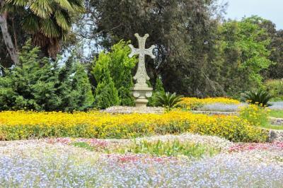 Stunning Batumi Botanical Garden in Georgia – Free Stock Photo for Download