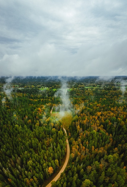 Aerial View of a Road Through a Dense Forest on an Autumn Day – Free Stock Photo for Download