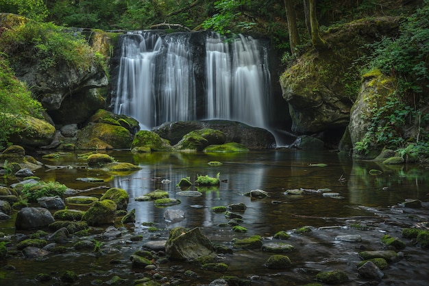 Tranquil Beauty of Whatcom Falls in Washington State – Free to Download