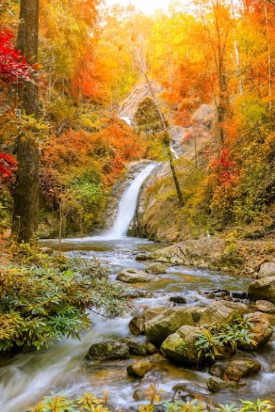 Stunning Waterfall in Chae Son National Park, Lampang, Thailand – Free Download