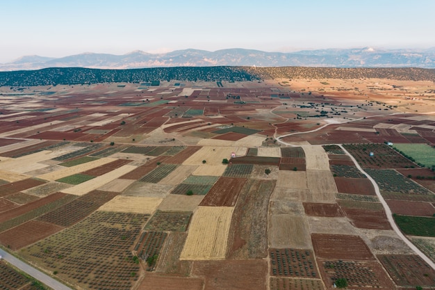 Cultivated Field from Above – Free Stock Photo for Download