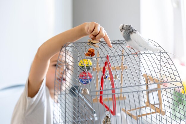 Beautiful Little Girl Playing with a White and Blue Budgie – Free Stock Photo, Download Free