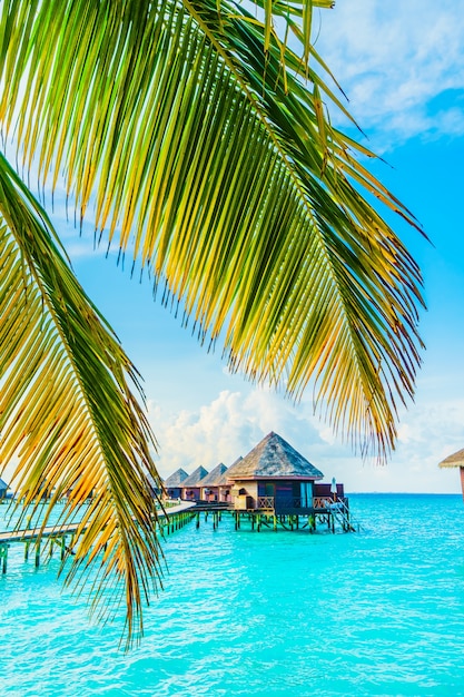 Maldives Island – Free Download Stunning Stock Photos