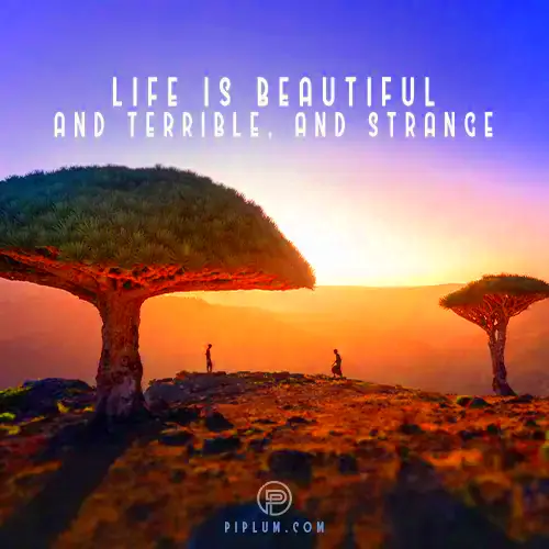 Erase Sad Moments With Life Is Beautiful Quotes