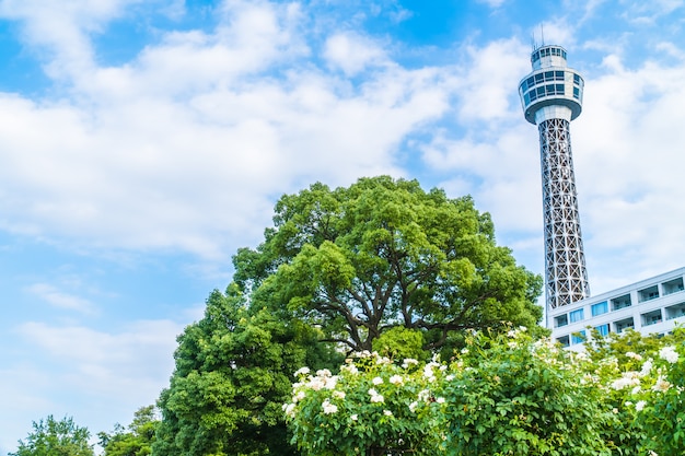 Beautiful Exterior of Marine Tower – Free Stock Photo, Download Free