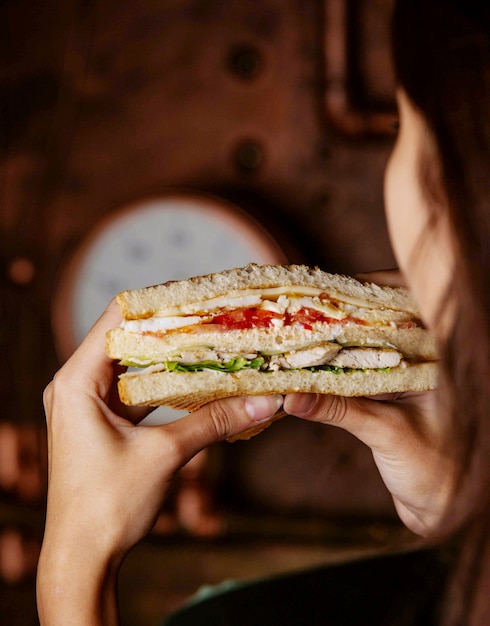 Club Sandwich Held by a Woman’s Hands – Free Stock Photo