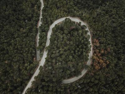 High Angle View of a Winding Road Surrounded by Lush Green Trees – Free to Download