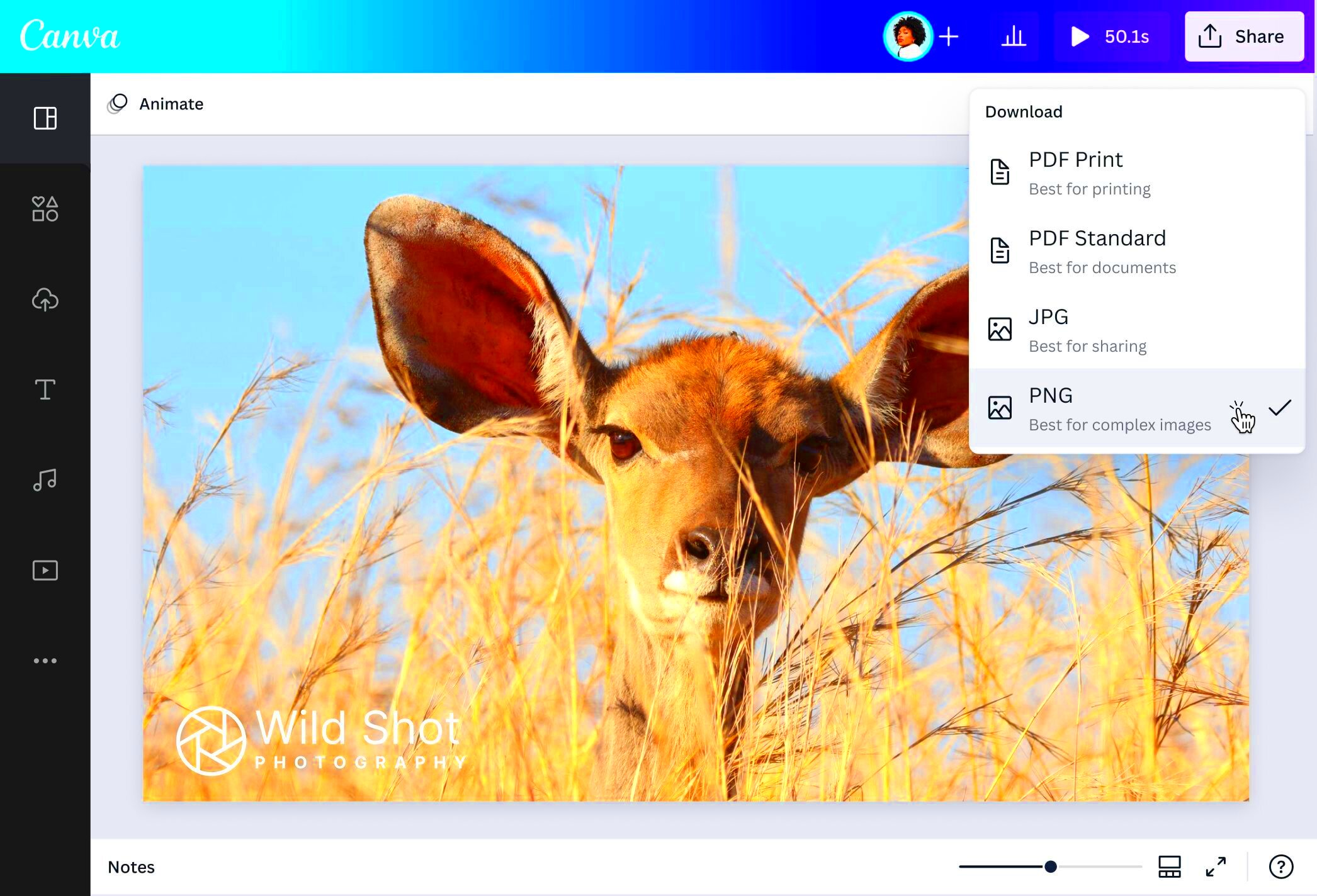 Watermark Photos  Add Watermark to Photos for Free  Canva