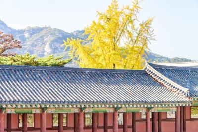 Gyeongbokgung Palace – Free Stock Photo, Download for Free