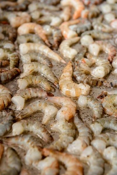 Cropped Image of Fresh Royal Shrimps – Free Download