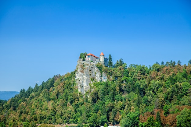 Castle on Top of the Cliff in Summer Time – Free Stock Photo for Download