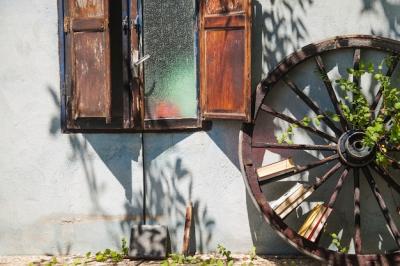 Charming Home Exterior Surrounded by Plants and an Old Wheel – Free Download