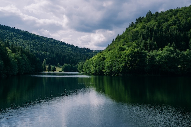 River Surrounded by Forests Under a Cloudy Sky in Thuringia, Germany – Free Download