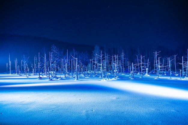 Outdoor Landscape Featuring Blue Pond River at Night in Snowy Winter Season – Free Download