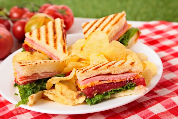 Ham and Cheese Club Sandwich on Picnic Table – Free Download