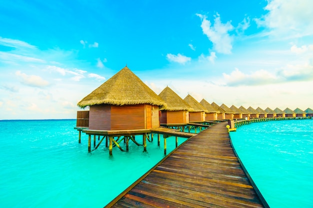 Maldives Coastline Tree Sea Sky – Free to Download Stock Photo