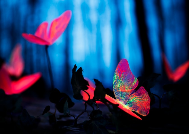 Glowing Insects in the Night Forest – Free Stock Photo for Download