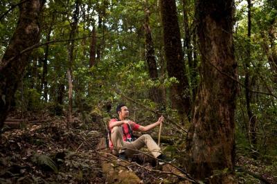 Hiker Sitting on a Hill in the Jungle – Free Stock Photo for Download