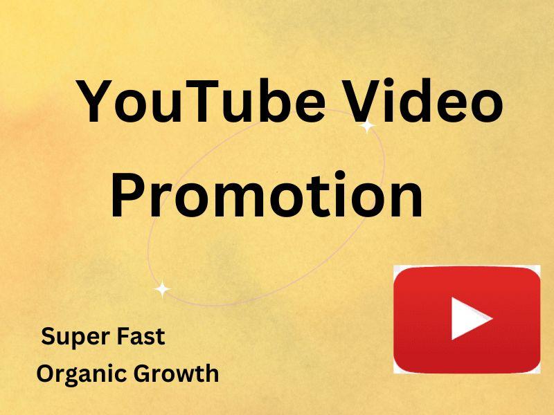 I Will Do Organic YouTube Video Promotion and Marketing