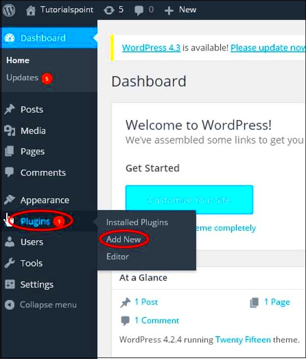 WordPress Plugin Setting