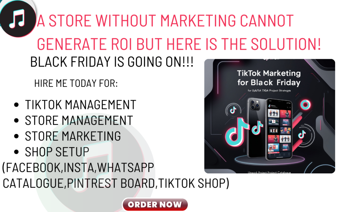 I Will Set Up TikTok Shop, TikTok Ads, and TikTok Marketing to Promote Your Shopify or Etsy Store