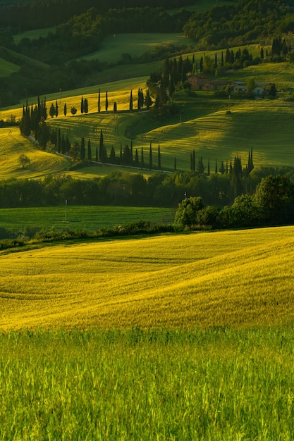 Green Fields Surrounded by Hills in the Countryside – Free Download