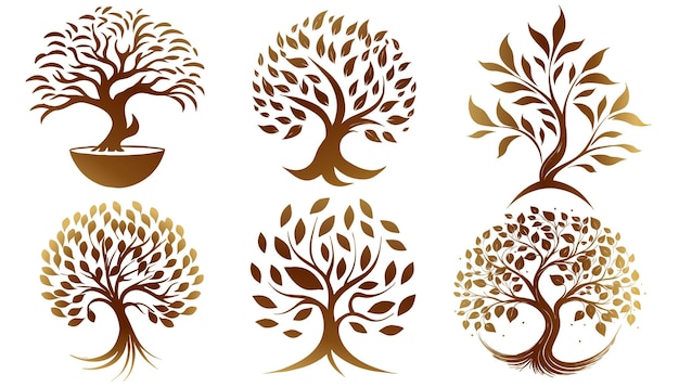 Tree Logo Collection – Free Download, Free Stock Photos