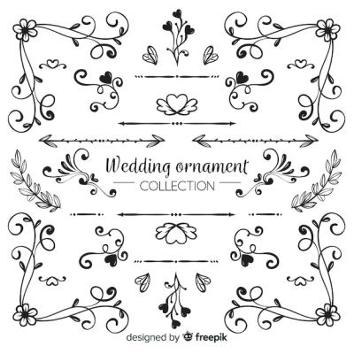 Hand Drawn Wedding Ornament Collection – Free Stock Photos for Download