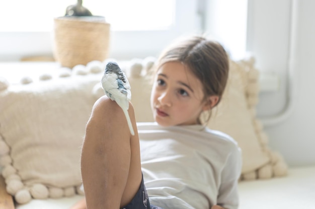 A Beautiful Little Girl Playing with a White and Blue Budgie – Free Stock Photo for Download