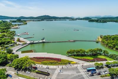 The City Park with Lake – Free Stock Photo for Download