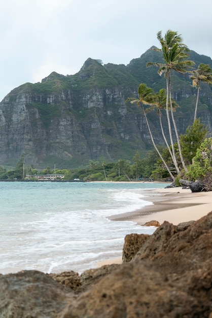 Breathtaking Hawaii Landscape with the Beach – Free Download