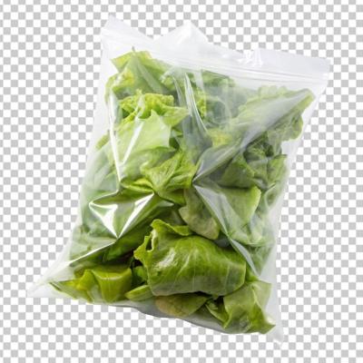 Fresh Salad in a Plastic Transparent Vacuum Bag – Free Download