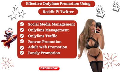 I Will Provide Reddit Post Management for OnlyFans, Chatter, Fansly, and Chaturbate