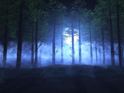 3D Foggy Forest Landscape – Free Download