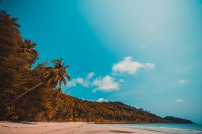 Beautiful Nature Tropical Beach – Free Download, Download for Free