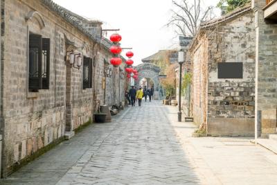 Stunning Street View – Free Stock Photo for Easy Download