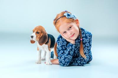 Happy Girl with Beagle Puppy on Gray Wall – Free Stock Photo for Download