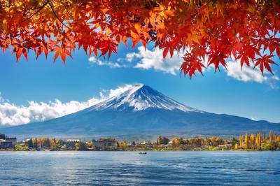 Autumn Season at Kawaguchiko Lake with Mountain Fuji – Free Stock Photo for Download