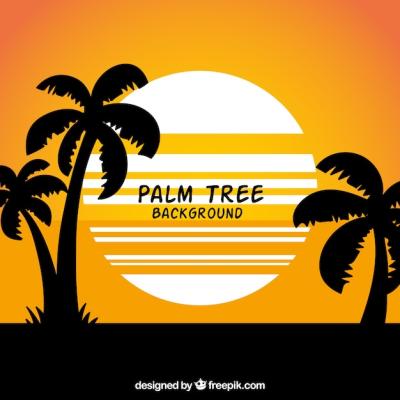 Summer Landscape Background Featuring Silhouettes of Palm Trees – Free Download