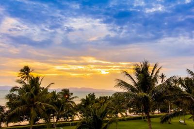 Stunning Palm Trees Against Cloudy Skies – Free Download