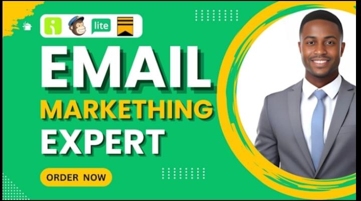 Create MailChimp Newsletter, Omnisend Email Template Setup, MailerLite