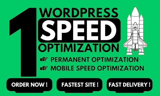 I Will Optimize WordPress Speed for Google PageSpeed Insights