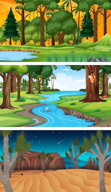 Explore Diverse Forest Horizontal Scenes – Free Download